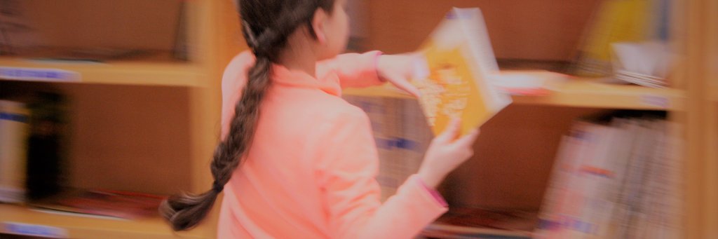 Adarra Erakundea banner