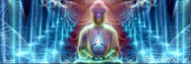Buddha Brian banner