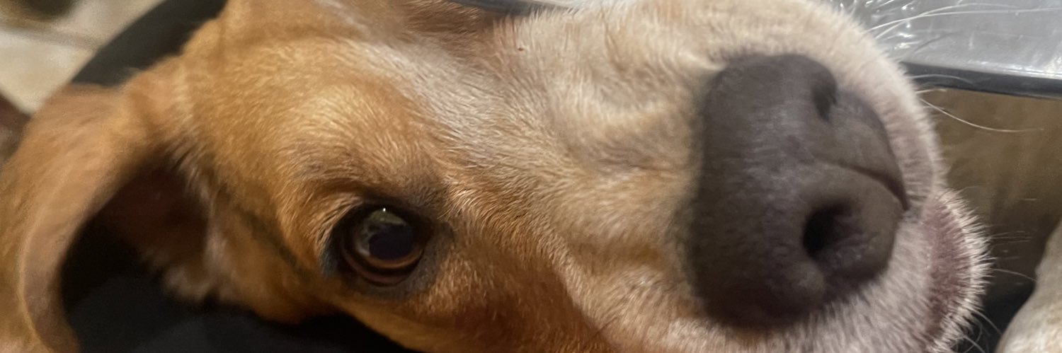 estefanyefron's profile banner image