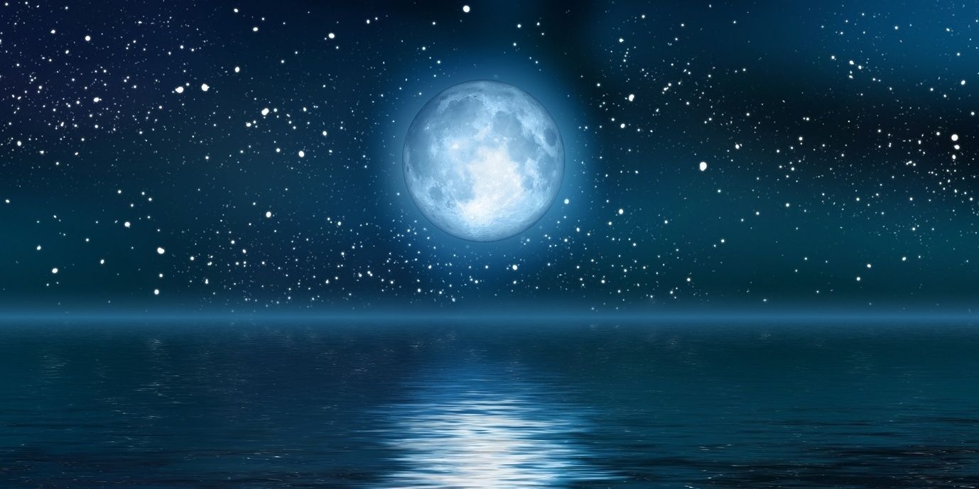 𝑳𝒆𝒂𝒅 𝒕𝒉𝒆 𝒘𝒂𝒚 banner