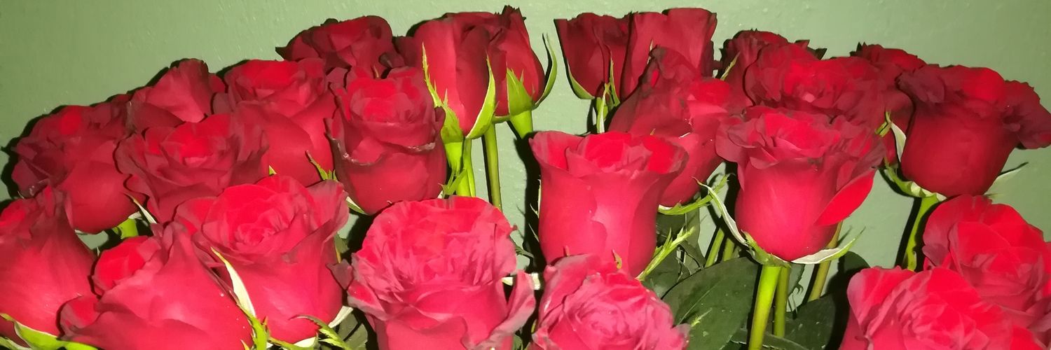 leonor_as's profile banner image