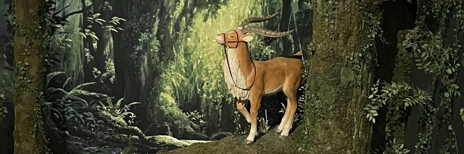 midorimushi482's profile banner image