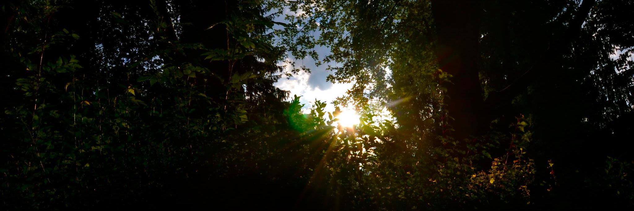 l_untner's profile banner image