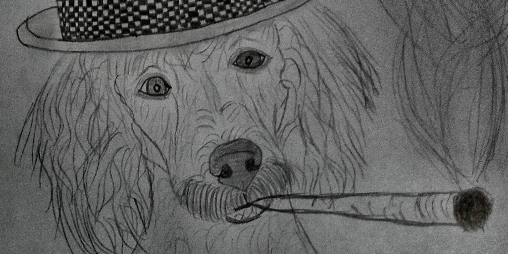 frankagneu28's profile banner image