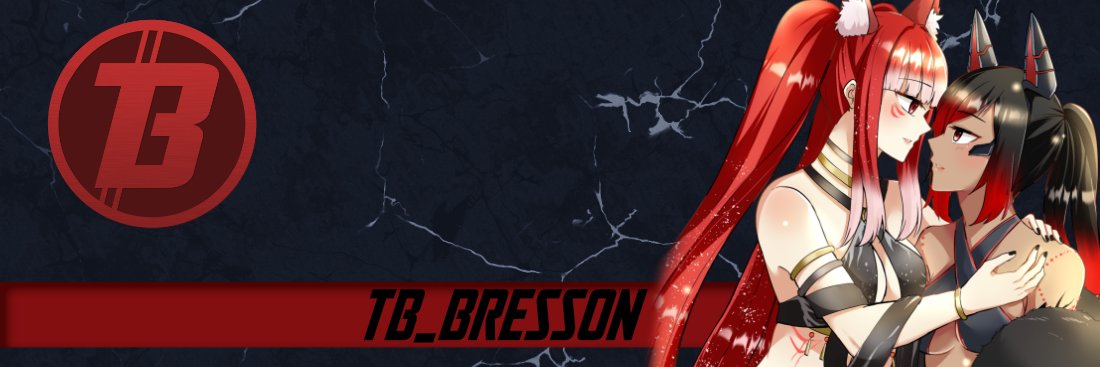 bressontb's profile banner image