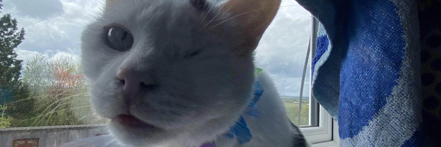 Newelly332's profile banner image