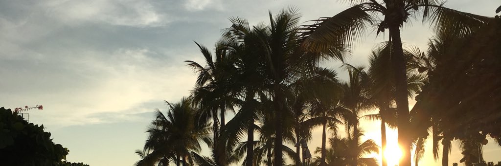 hannahthkim's profile banner image