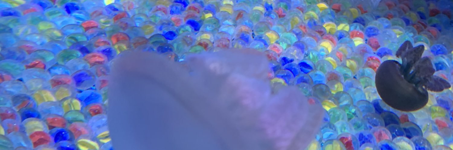 aisu0527's profile banner image