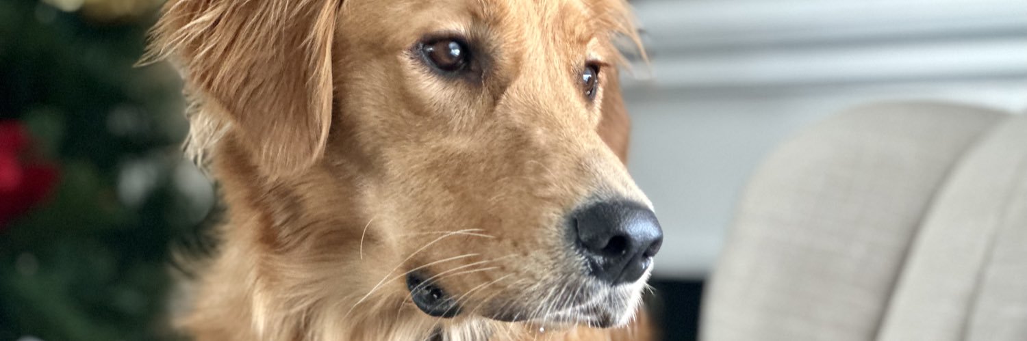 BlakeBuzard's profile banner image