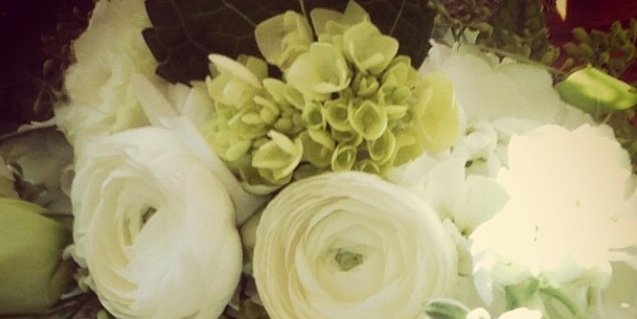 JenBranoff's profile banner image