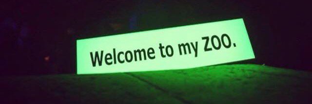 Marija Vekic banner