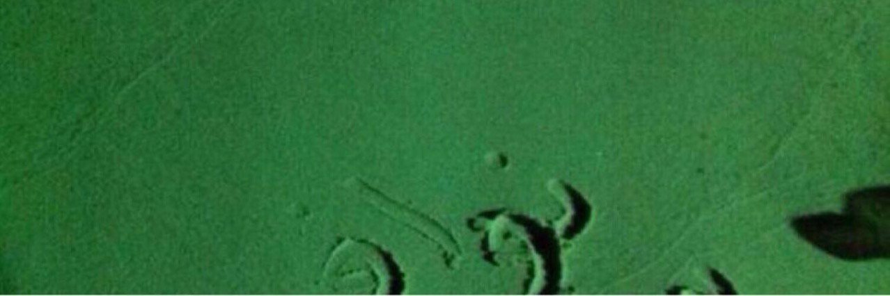2dhare's profile banner image