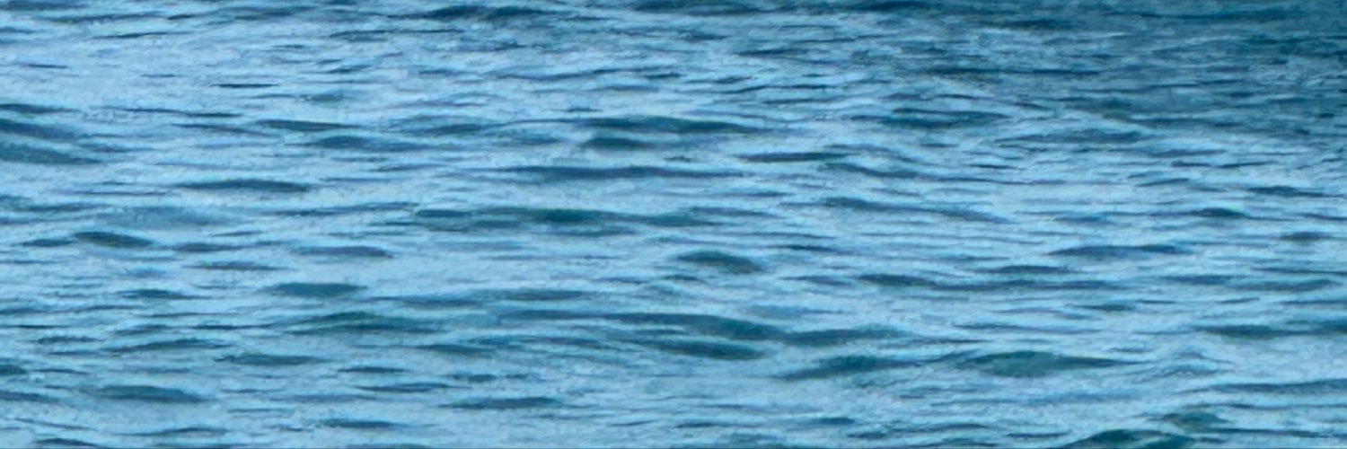 Carlitouuu8's profile banner image