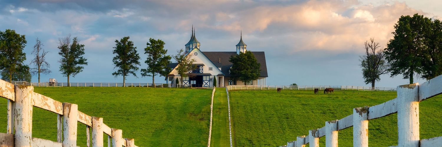 A Leftist from Kentucky banner