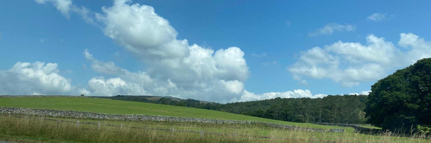 ginas75's profile banner image