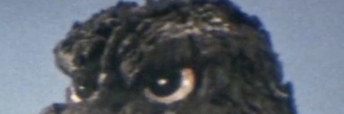 themadlantern's profile banner image