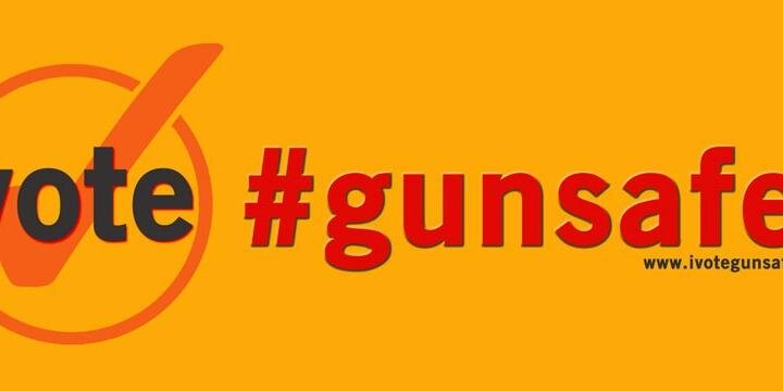 VoteGunSafety's profile banner image