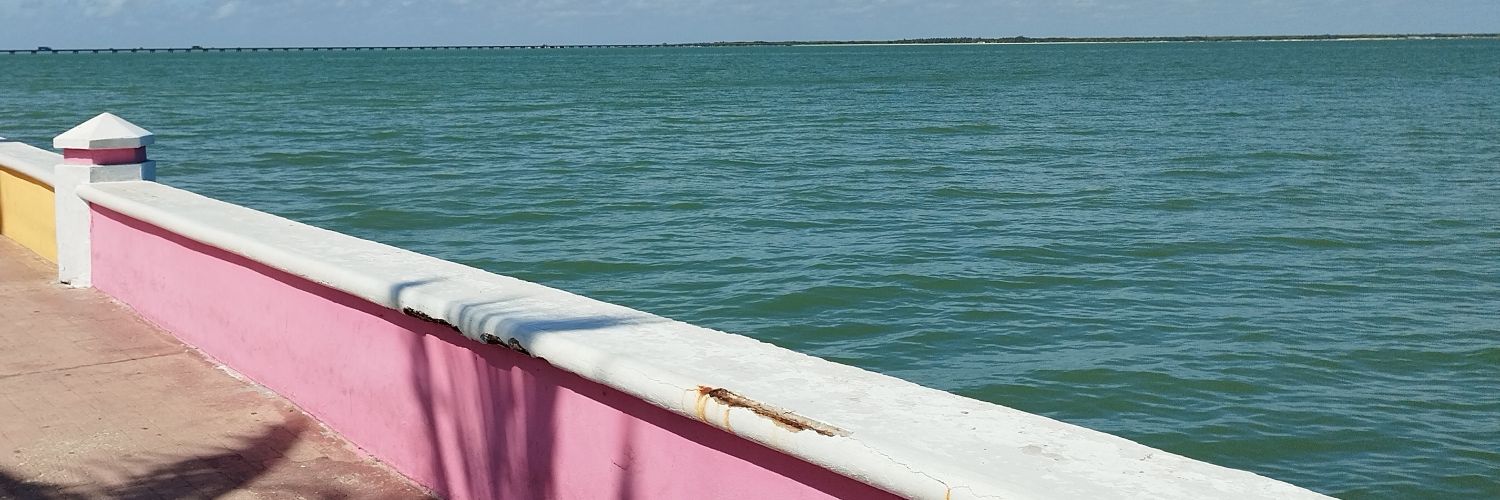 v_ramirezv's profile banner image