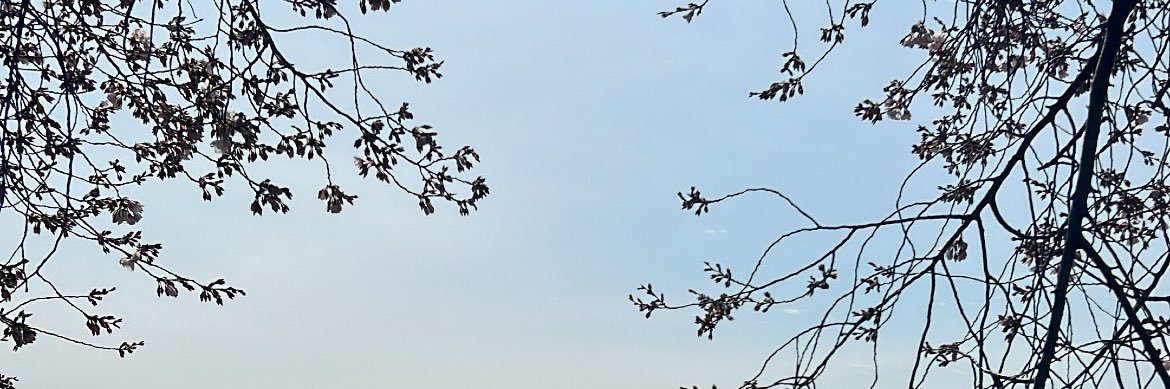jckngn's profile banner image