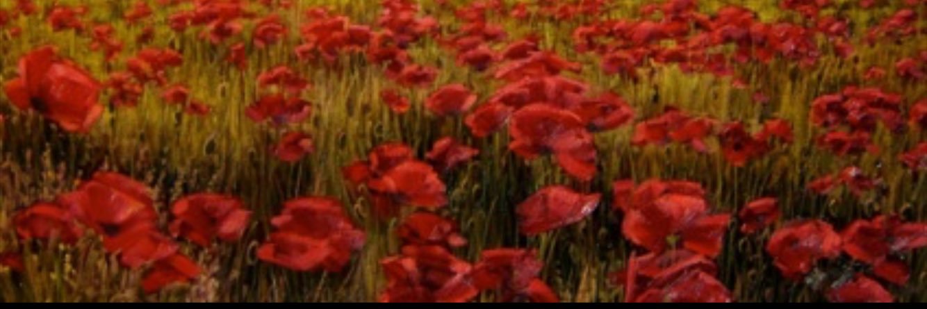 whitevanman71's profile banner image