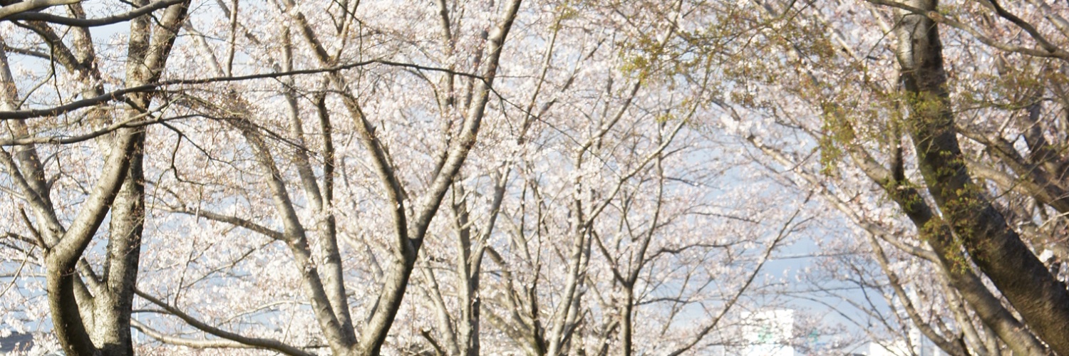 ssss_ss16's profile banner image