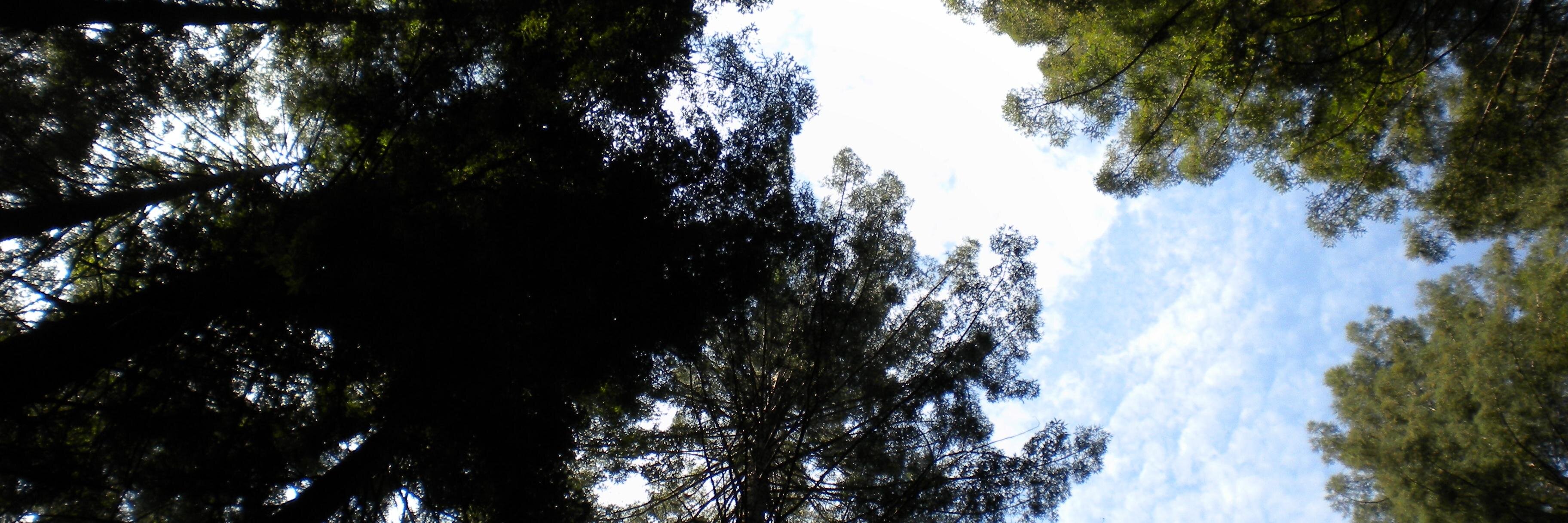 abrahamdjr's profile banner image