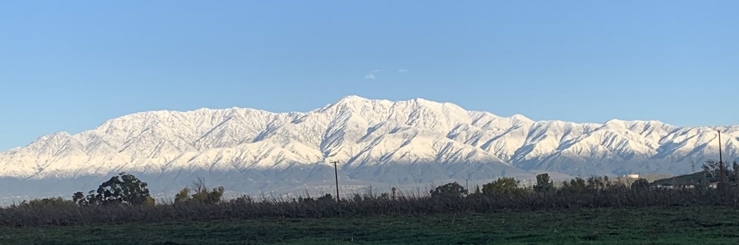 Anthony 💎🐕 banner