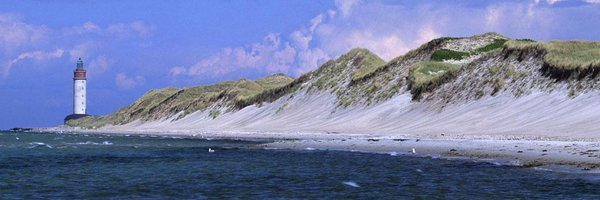 Thomas__Nilsson Profile Banner