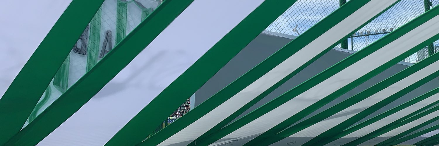 Caela_ri's profile banner image