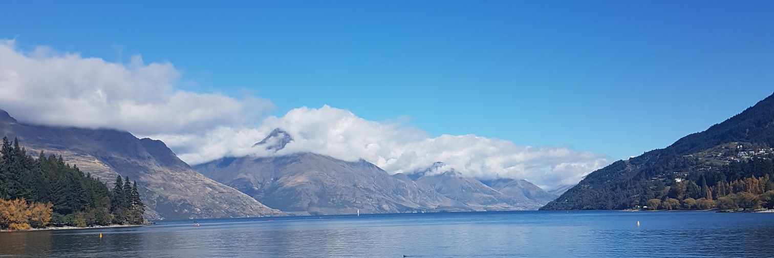 Solaris Knight banner