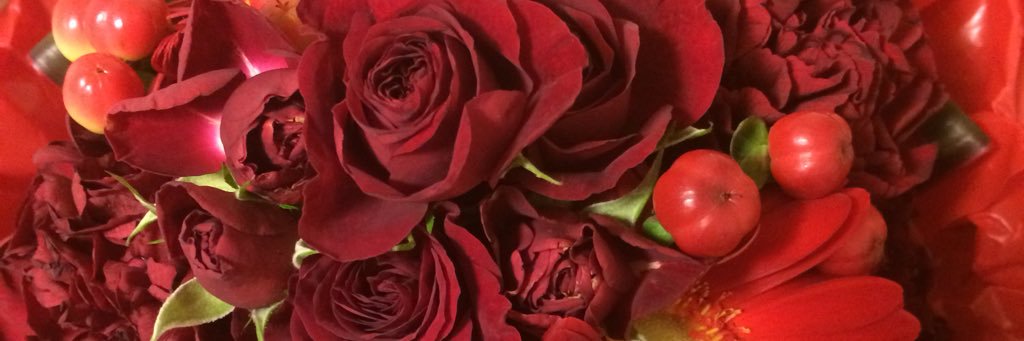 HONU1438's profile banner image