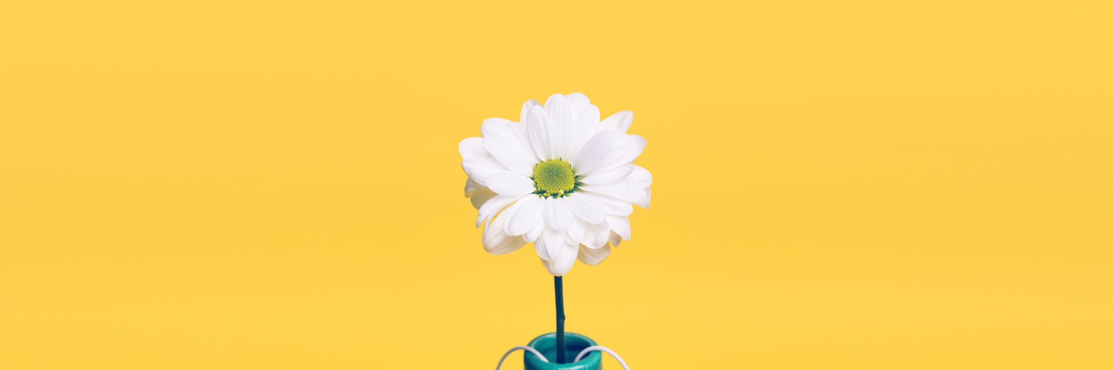 tabbymary's profile banner image