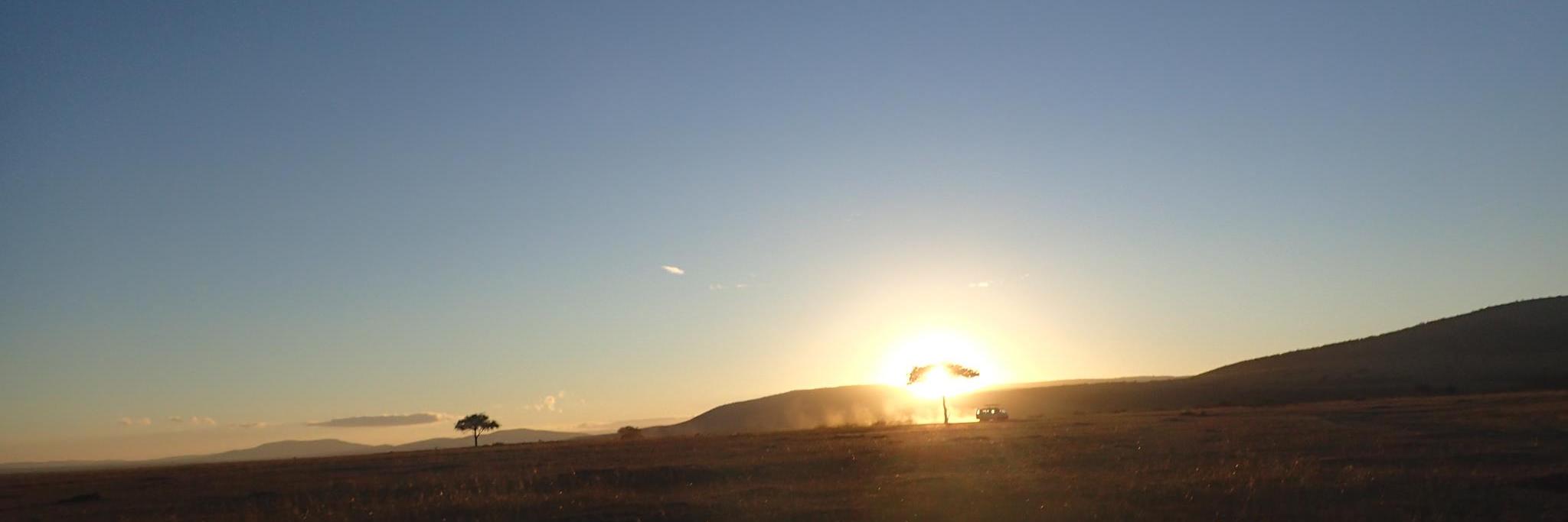 Boegsted's profile banner image