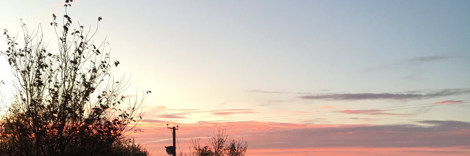 _ellejade_'s profile banner image