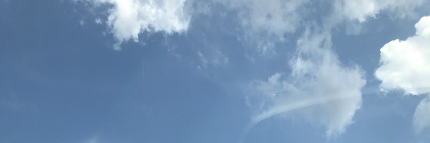 mxllie's profile banner image