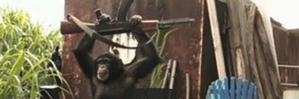 quantlabs Profile Banner