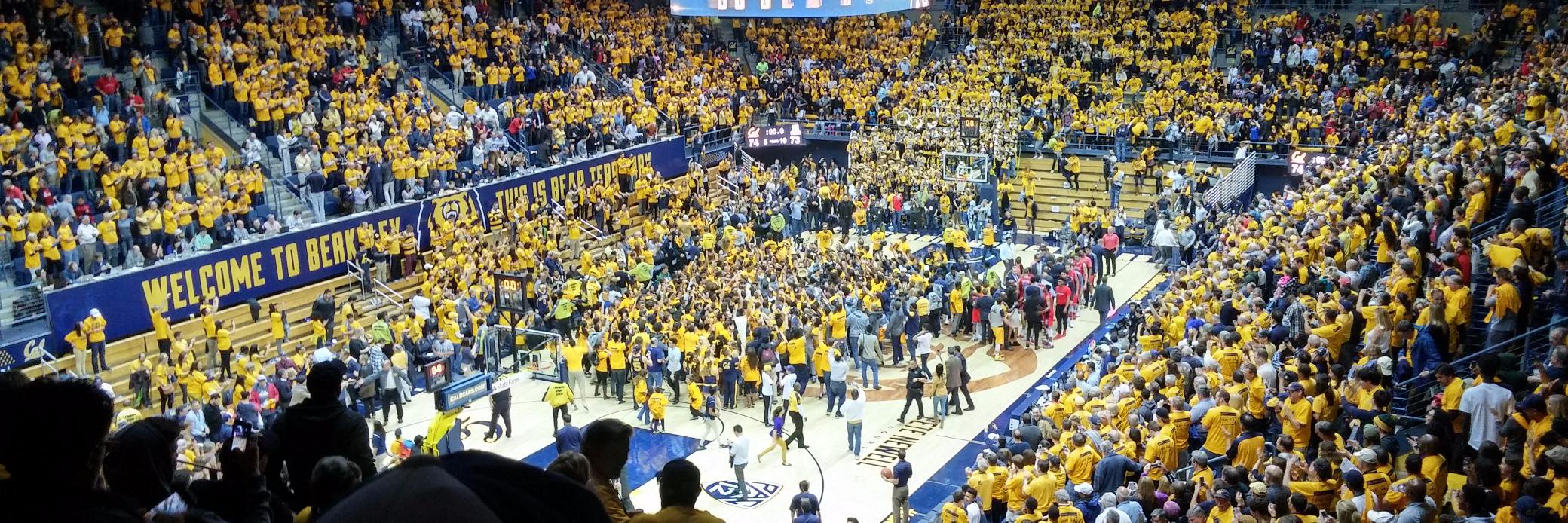 Bracket Project banner