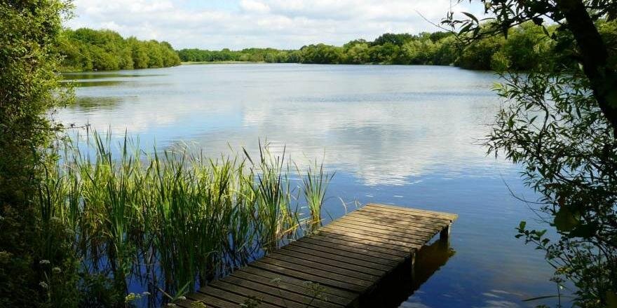 Dinton Pastures banner