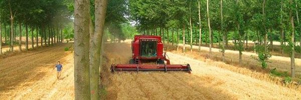 ClementGdre Profile Banner