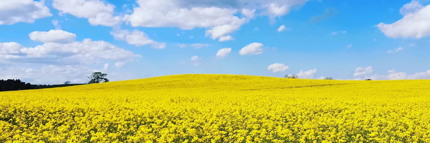 Nick Paterson banner