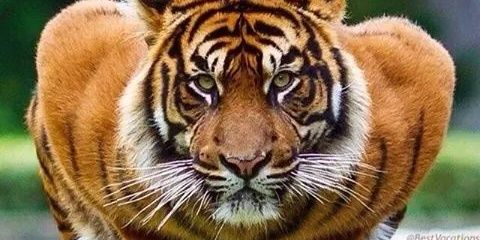 BenDroBenfrank's profile banner image