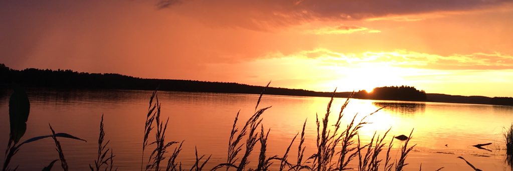koppar91's profile banner image