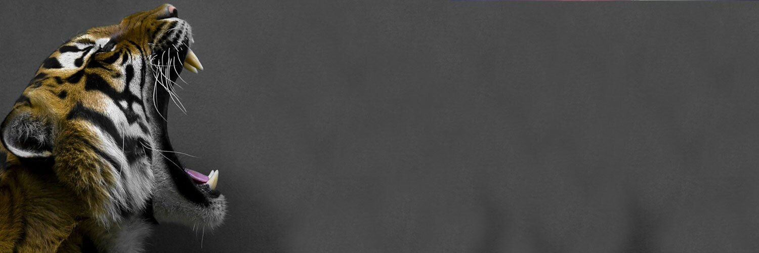 70sambrown's profile banner image