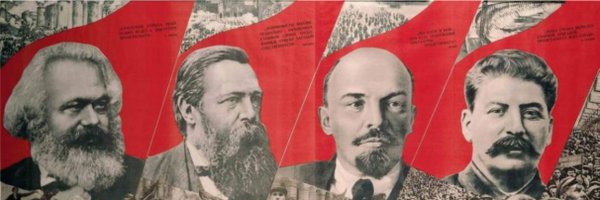 xcibo Profile Banner
