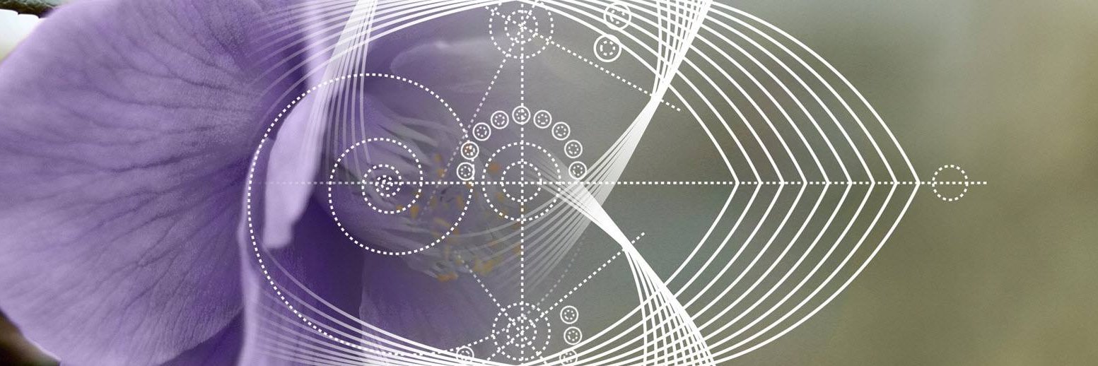 Alx_Aglr's profile banner image