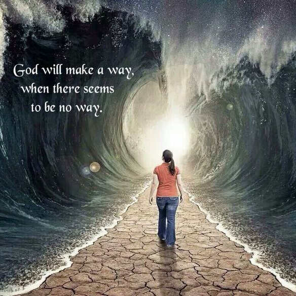 Olajonrin Segun banner