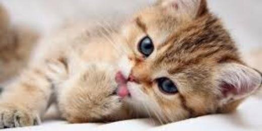 dimas_elektra's profile banner image