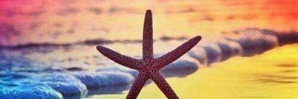 kimbtlfc Profile Banner