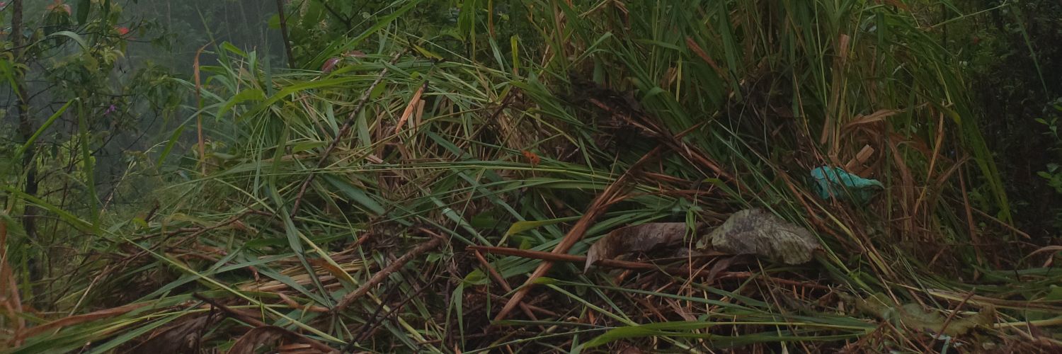 Cymluckk's profile banner image