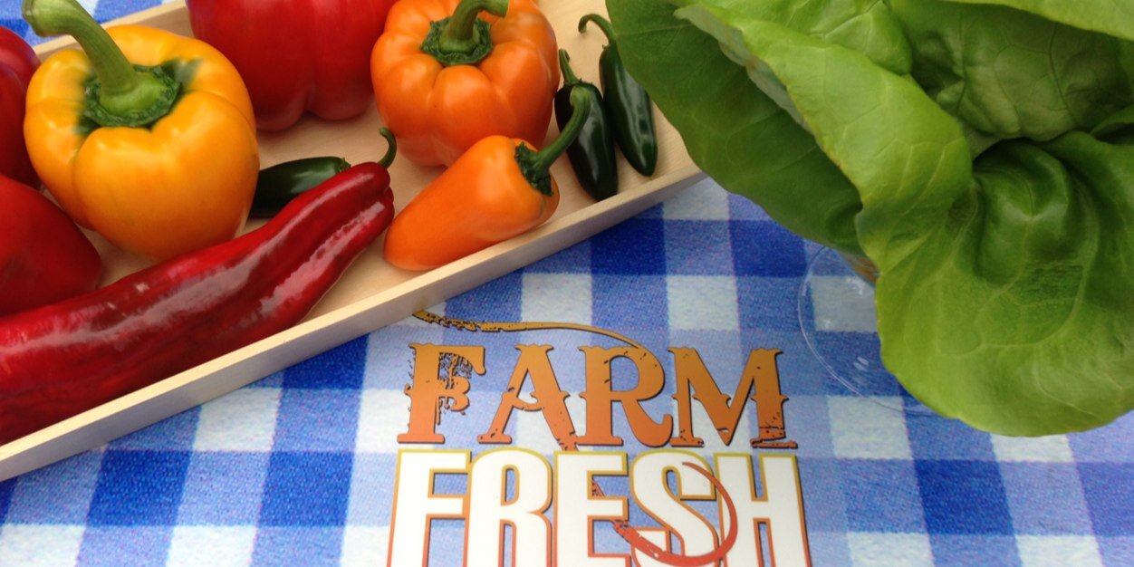 Lisa Wolansky banner